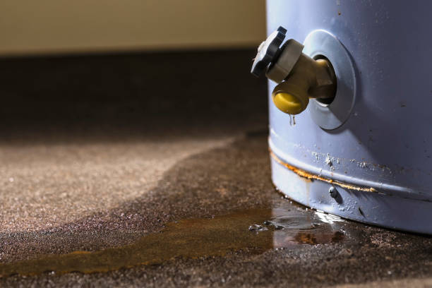 Best Mold removal after water damage  in Dolan Springs, AZ