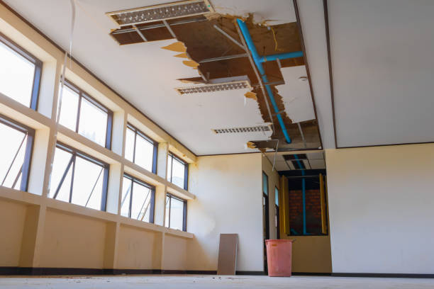 Best Water damage contractors near me  in Dolan Springs, AZ
