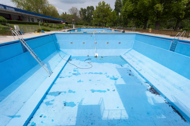 Best Basement water damage restoration  in Dolan Springs, AZ