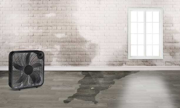 Water damage restoration experts in AZ