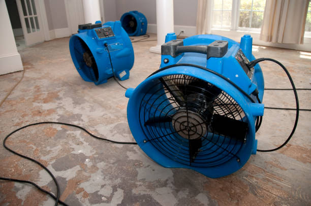 Best Residential water damage restoration  in Dolan Springs, AZ