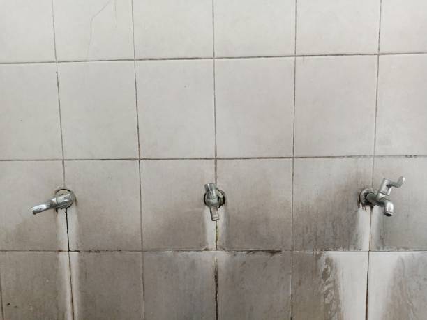 Best Water damage cleanup near me  in Dolan Springs, AZ