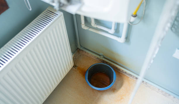 Best Commercial water damage restoration  in Dolan Springs, AZ