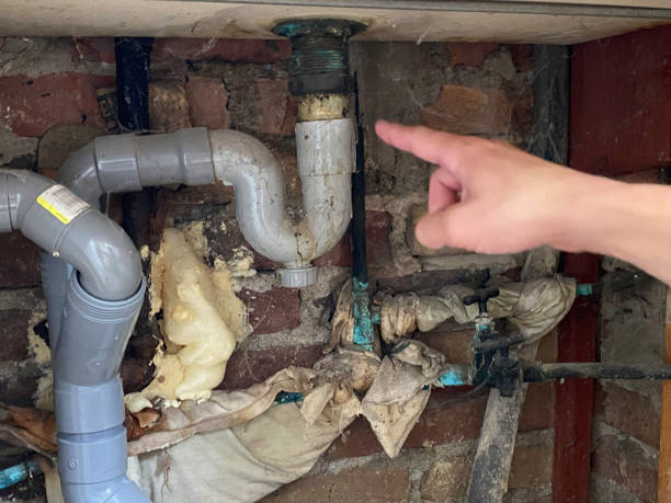 Best Flood damage cleanup  in Dolan Springs, AZ